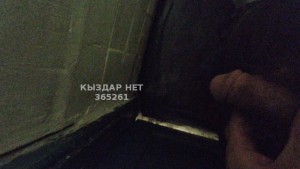 Жиголо Павлодара Анкета №365261 Фотография №2839787