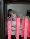Фотография №3622702