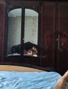 Фотография №3623753
