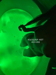 Проститутка Караганды Анкета №405166 Фотография №3664336