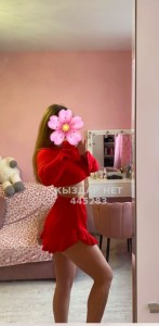 Проститутка Астаны Анкета №445283 Фотография №3682248