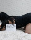 Фотография №3738766