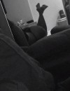 Фотография №3747624